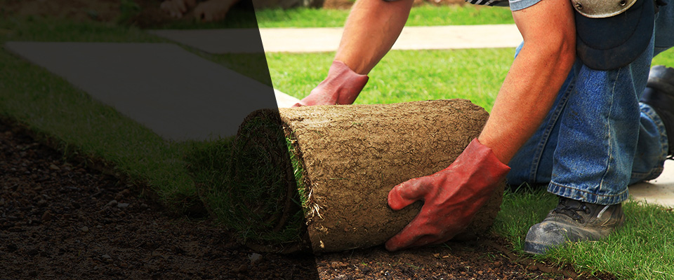 Moravian Falls Landscapers